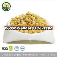 dry maize freeze dried yellow Corn dried sweet corn